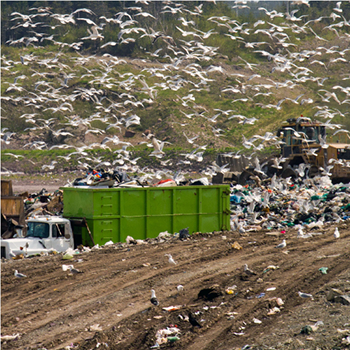 Bomb Calorimeter Uses - Waste Analysis