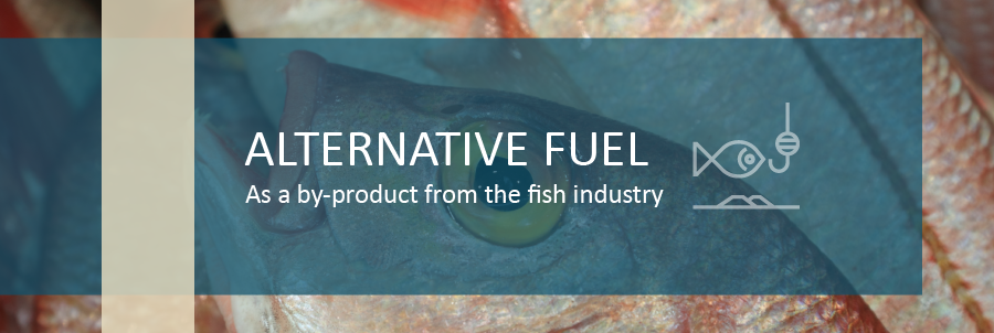 Analyzing Fish Oils as an Alternative Fuel | DDS Calorimeters