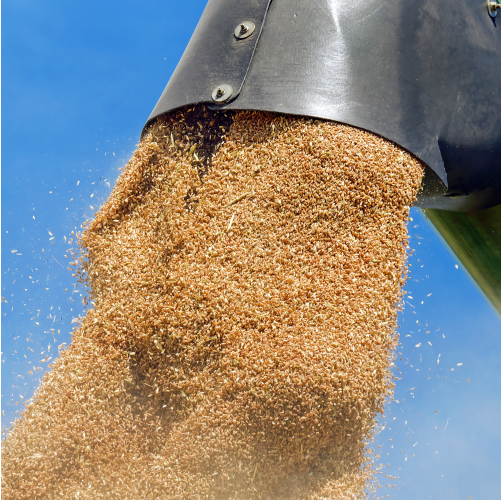 Food & Nutrition - Bomb Calorimeter Applications