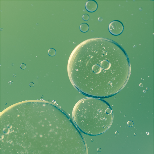 Fuel Oil - Bomb Calorimeter Applications