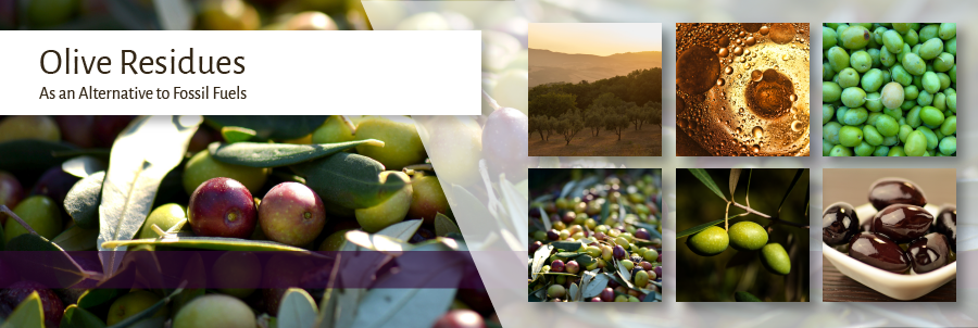 Analyzing Olive Residues as an Alternative Fuel