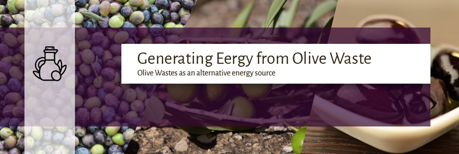 Olive Residue Waste as an Alternative Energy Source | DDS Calorimeters
