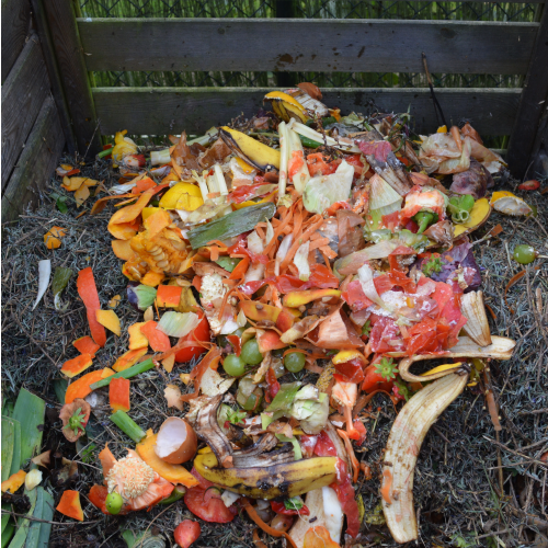 Bomb Calorimeter Uses - Compost