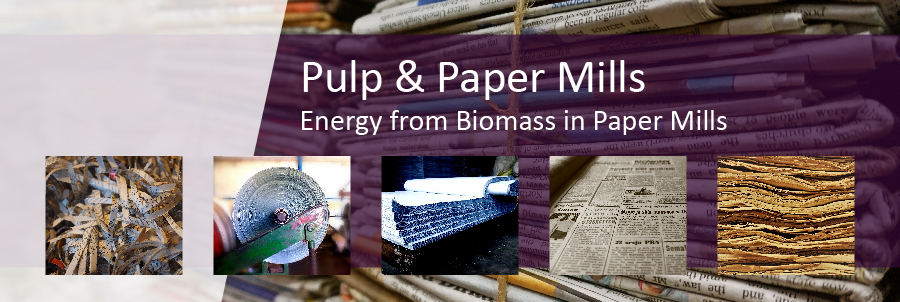 Energy from Biomass in Pulp & Paper Mills