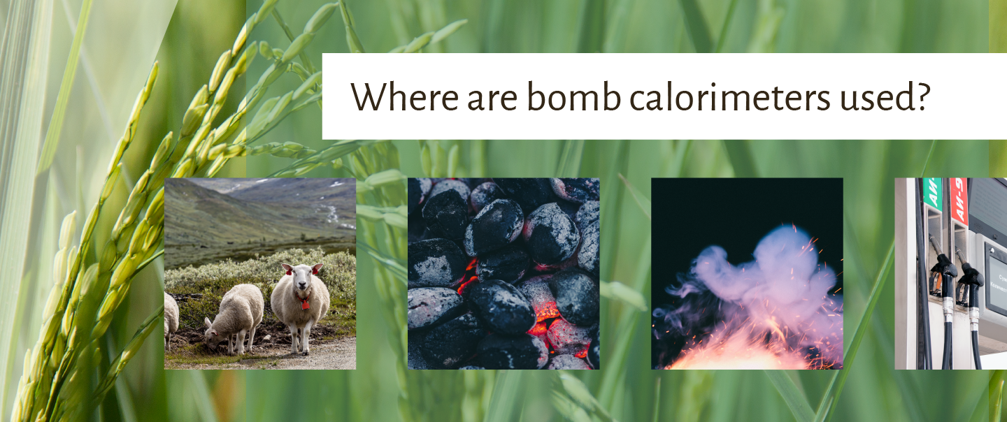 Where is a bomb calorimeter used?